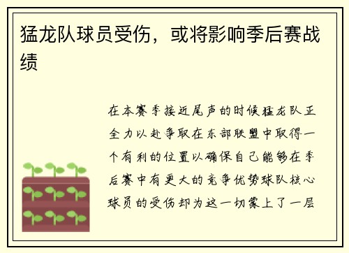 猛龙队球员受伤，或将影响季后赛战绩